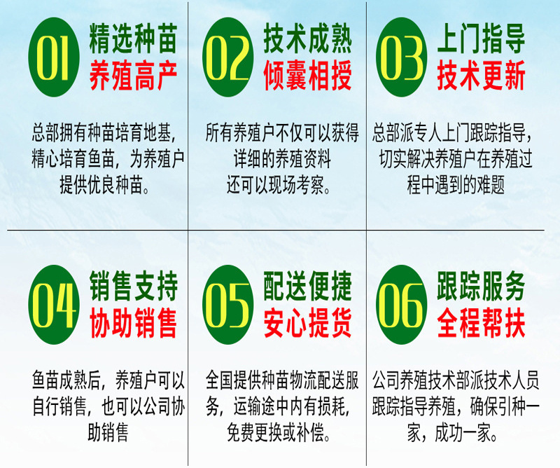中科五号鲫鱼苗黄金鲫鱼苗彭泽鲫送货上门