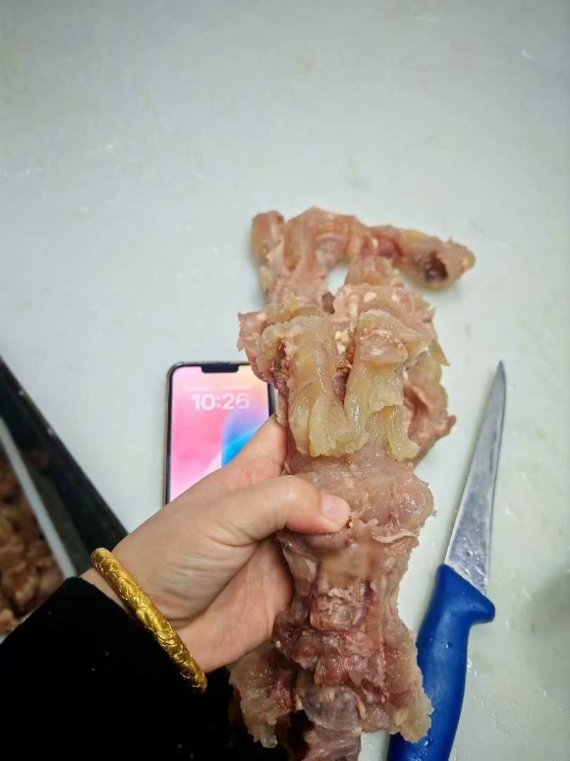 熟牛蹄筋，每天新货，大公牛蹄筋，实图拍摄，纯主筋！