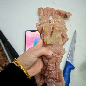熟牛蹄筋，每天新货，大公牛蹄筋，实图拍摄，纯主筋！