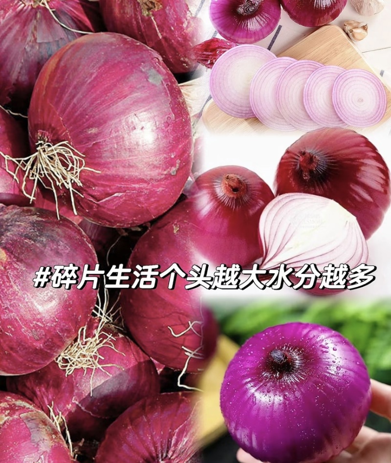 【精品洋葱】云南红皮洋葱-来电规格齐全-货量大充足-价格可谈