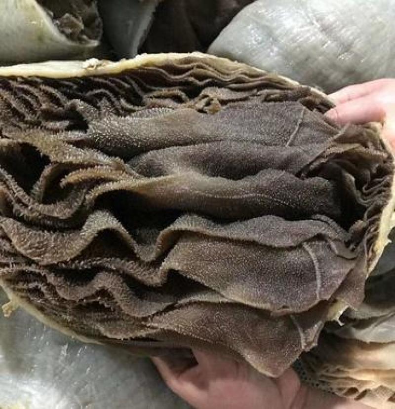 纯干鲜百叶