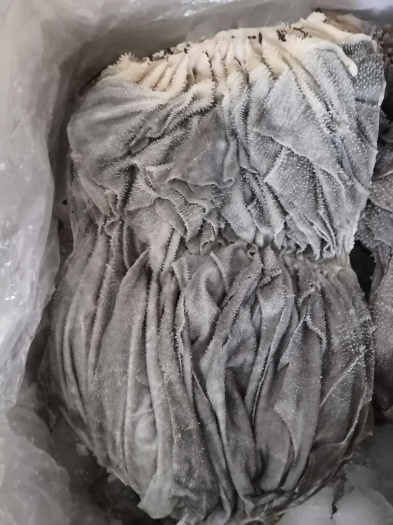 纯干鲜百叶