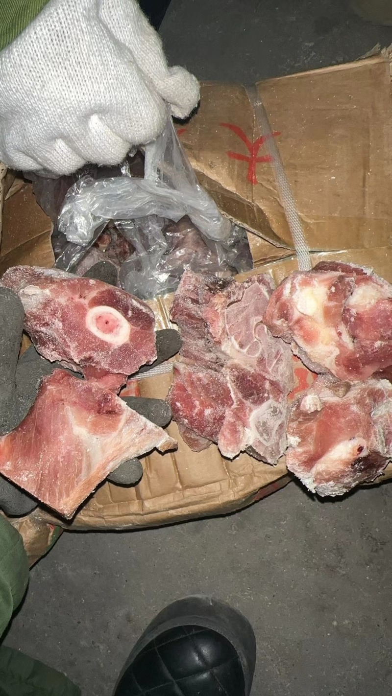 腿骨切块