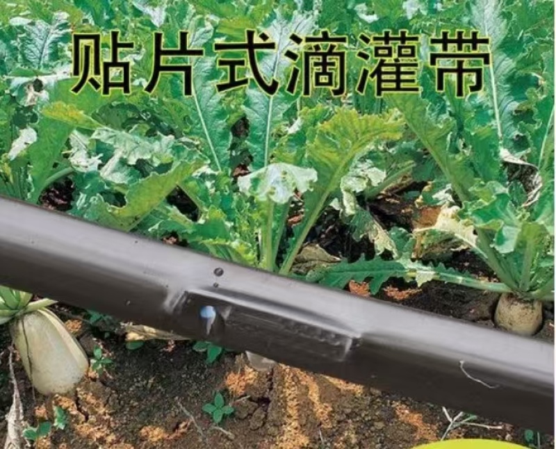 农用节水灌溉水带贴片滴灌带单孔/双孔贴片滴灌带