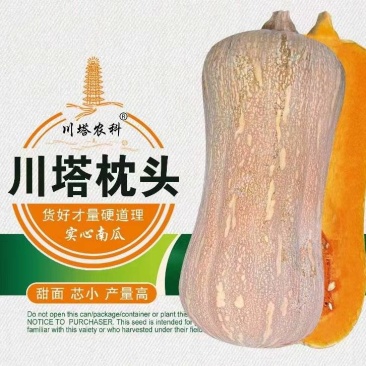 南瓜种子枕头南瓜甜面心小实心南瓜结瓜多产量高