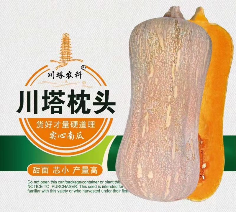 南瓜种子枕头南瓜甜面心小实心南瓜结瓜多产量高