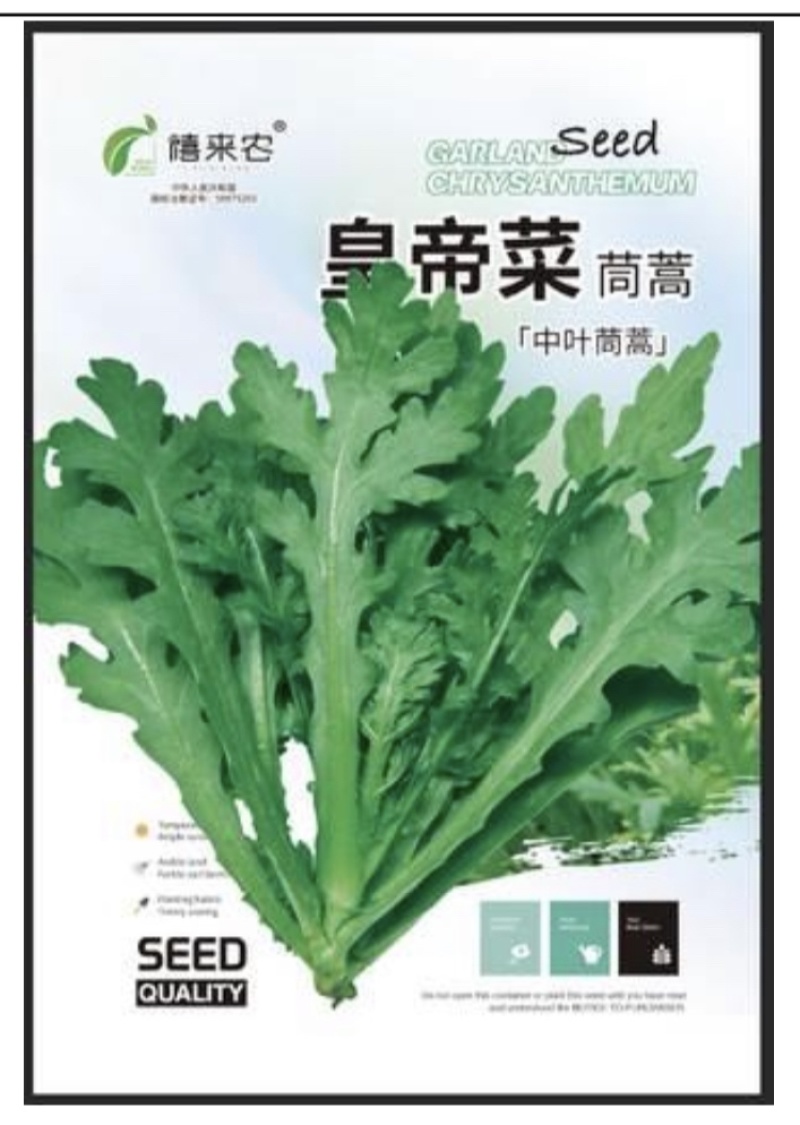 中叶茼蒿种子茎秆绿色中叶带锯齿叶片肥厚质地柔嫩
