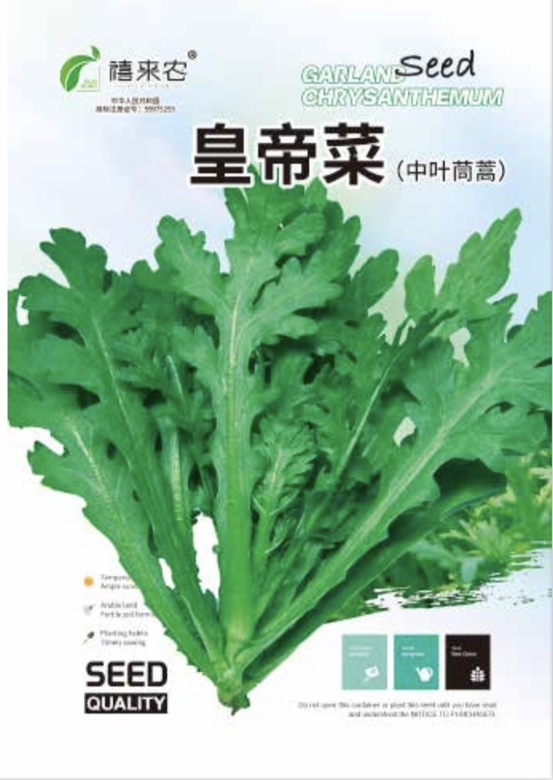 中叶茼蒿种子茎秆绿色中叶带锯齿叶片肥厚质地柔嫩