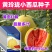 黄玲珑小西瓜种子早熟礼品瓜果实圆形质酥脆甜多汁