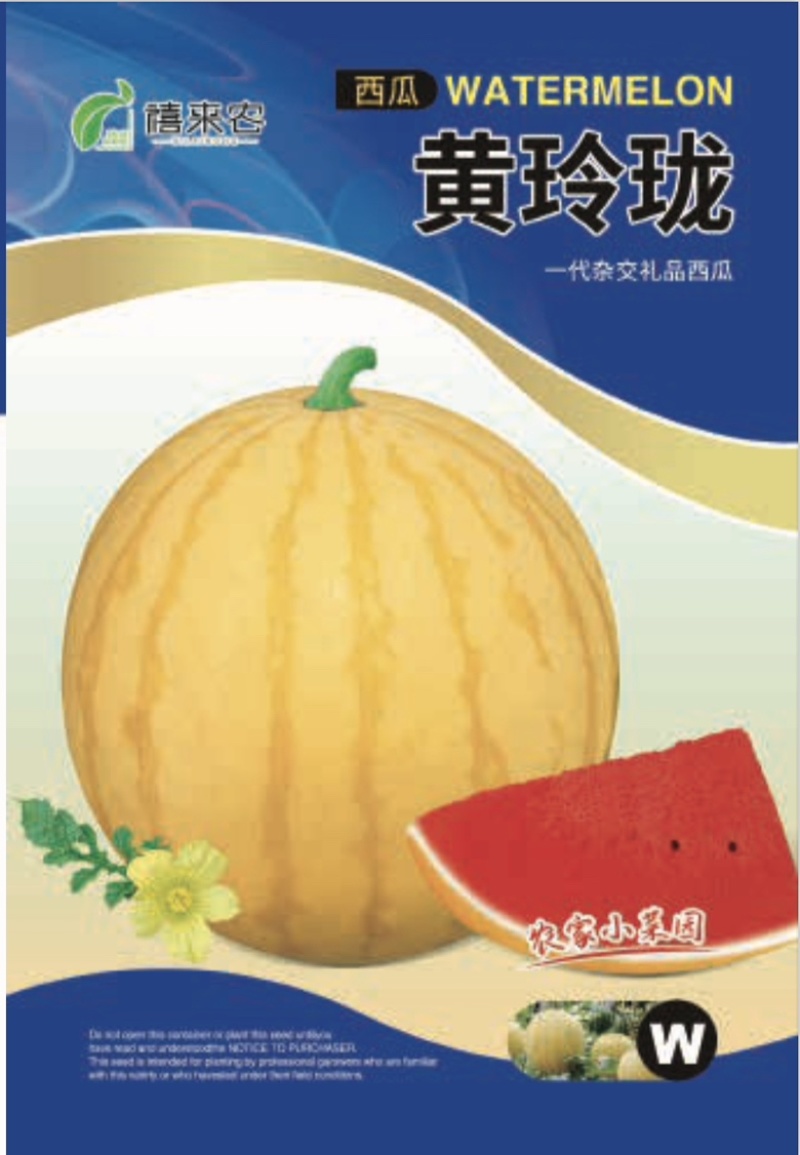 黄玲珑小西瓜种子早熟礼品瓜果实圆形质酥脆甜多汁