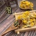 包邮)中药材农家自种自采天然新晒干丝瓜花新货80克