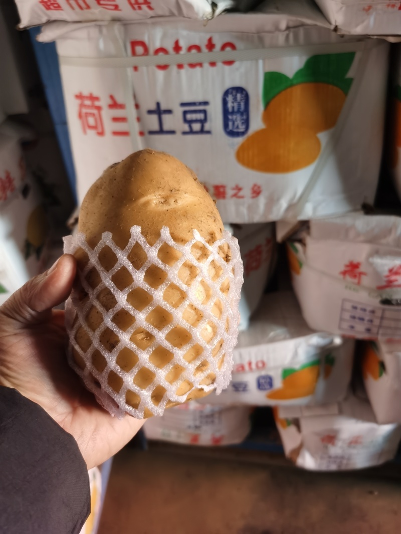 精品土豆大量供应规格齐全支持各种包装一吨起批