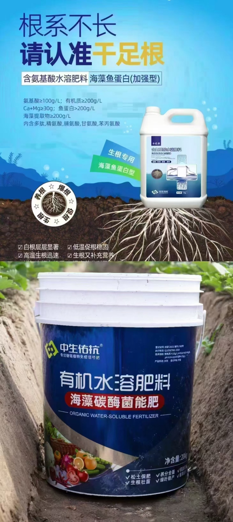 大蓝桶瓜果蔬菜，促根提苗，绿叶膨果海藻碳酶菌能肥