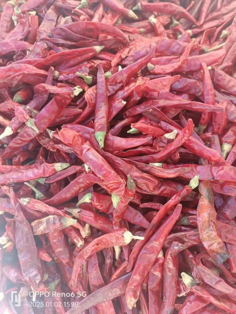 干辣椒朝天椒，一手货源，无中间商，自家农场种制欢迎咨询