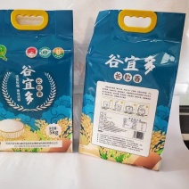 新疆大米温宿大米长粒香产地直发
