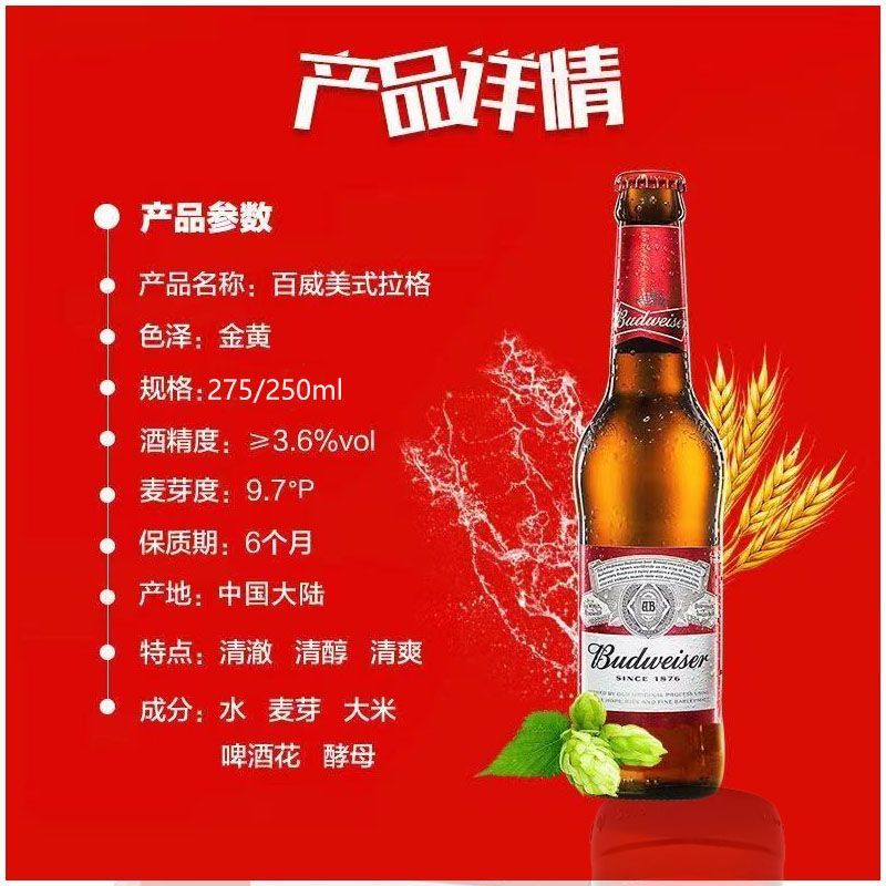 百威啤酒275ml*24瓶百威小瓶啤酒小支玻璃瓶装