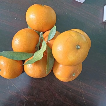 沃柑