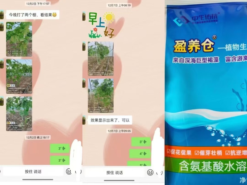 营养仓保花保果-催芽壮梢-预防早衰-提高肥效-缓解药害