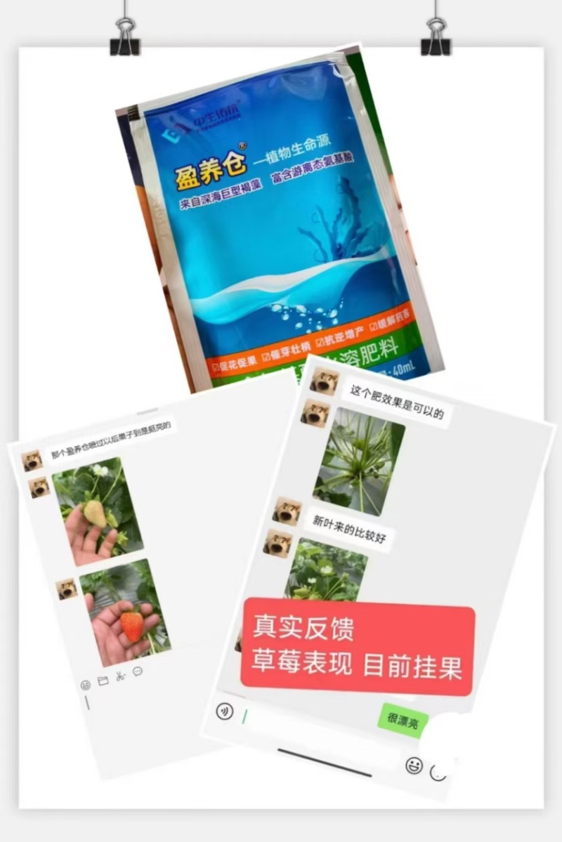 营养仓保花保果-催芽壮梢-预防早衰-提高肥效-缓解药害