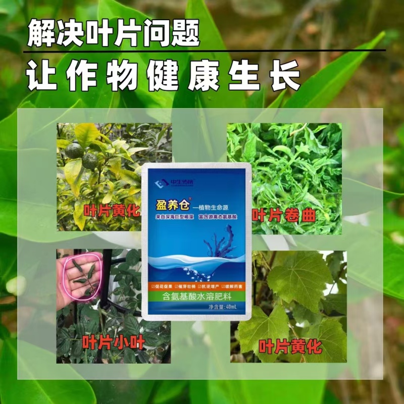 营养仓保花保果-催芽壮梢-预防早衰-提高肥效-缓解药害