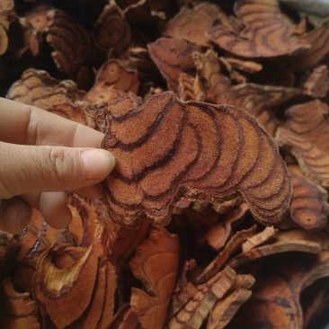 《鸡血藤》片片有血丝大货正品货质量有保证量大从优
