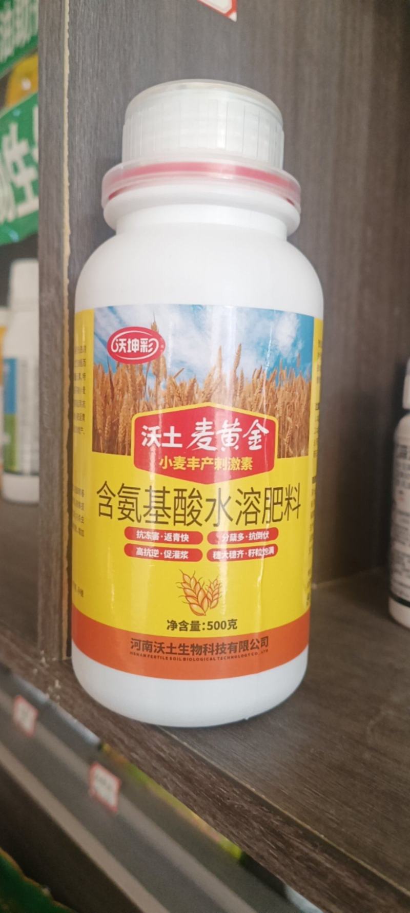 麦黄金抗寒防冻壮苗促茎抗逆抗倒伏穗大粒饱