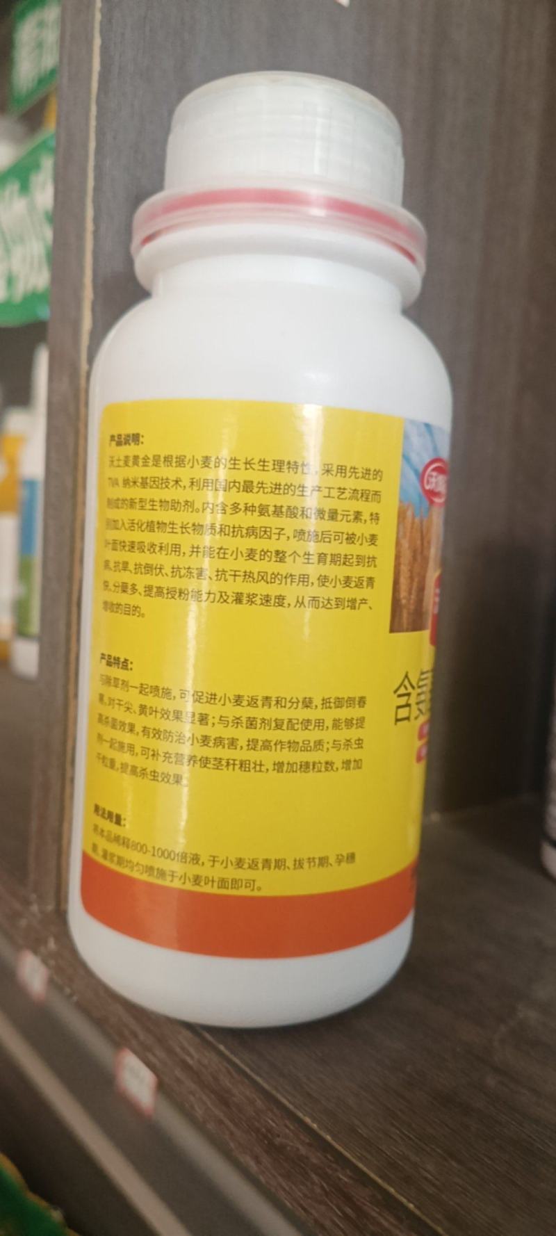 麦黄金抗寒防冻壮苗促茎抗逆抗倒伏穗大粒饱