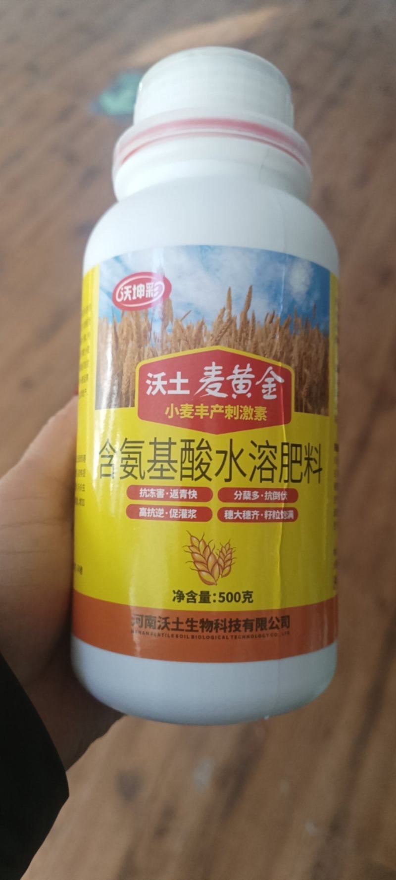 麦黄金抗寒防冻壮苗促茎抗逆抗倒伏穗大粒饱