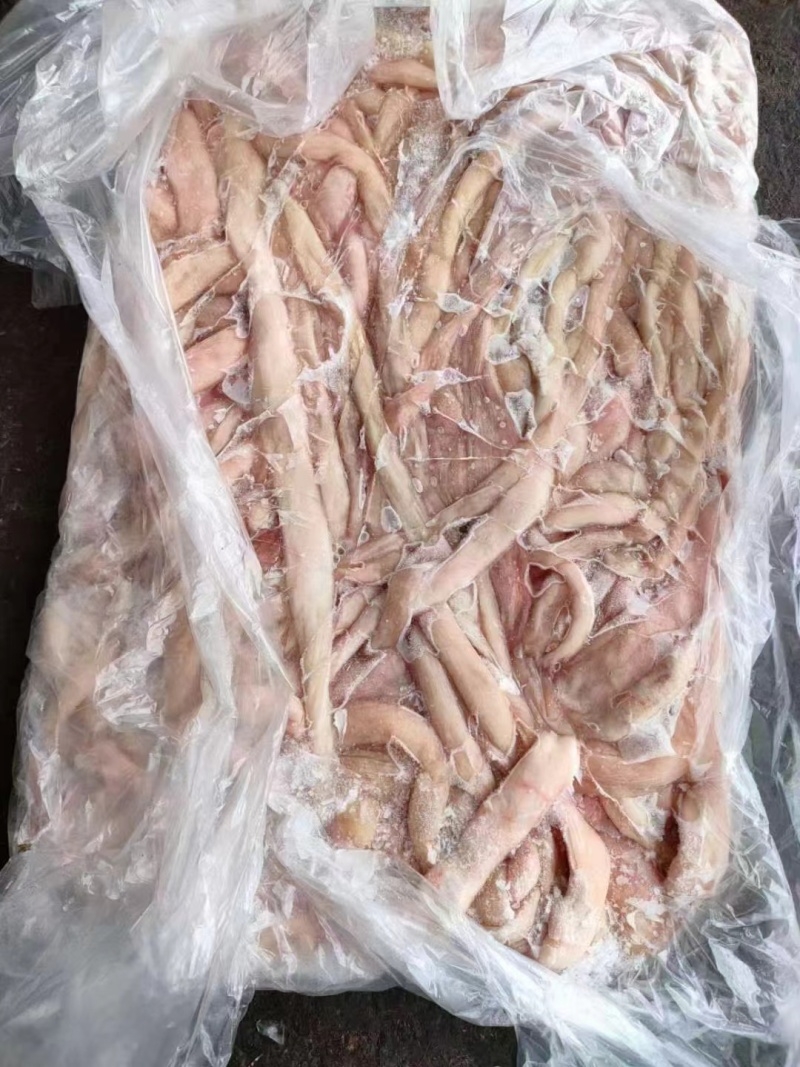 山东菏泽牡丹区生羊肥肠羊肥肠欢迎来电选购