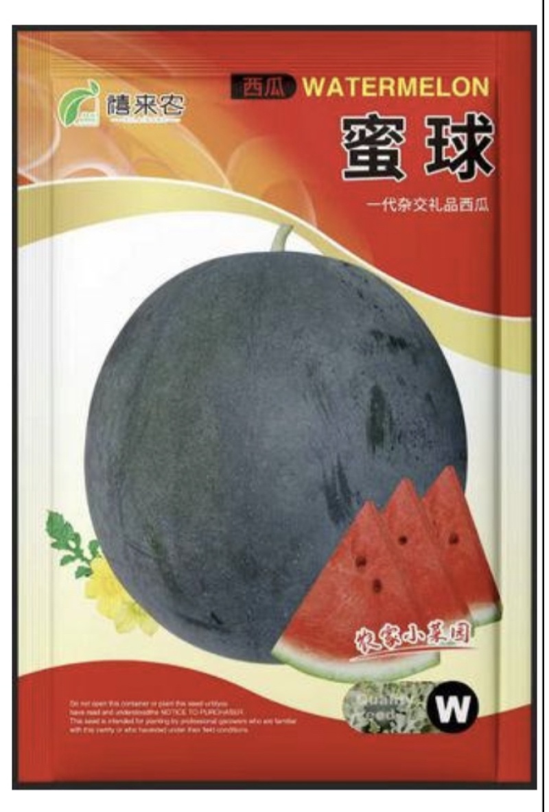 蜜球西瓜种子早熟中型果质脆多汁皮薄生育期约90天左右