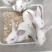 月月兔子繁殖种苗食用商品兔