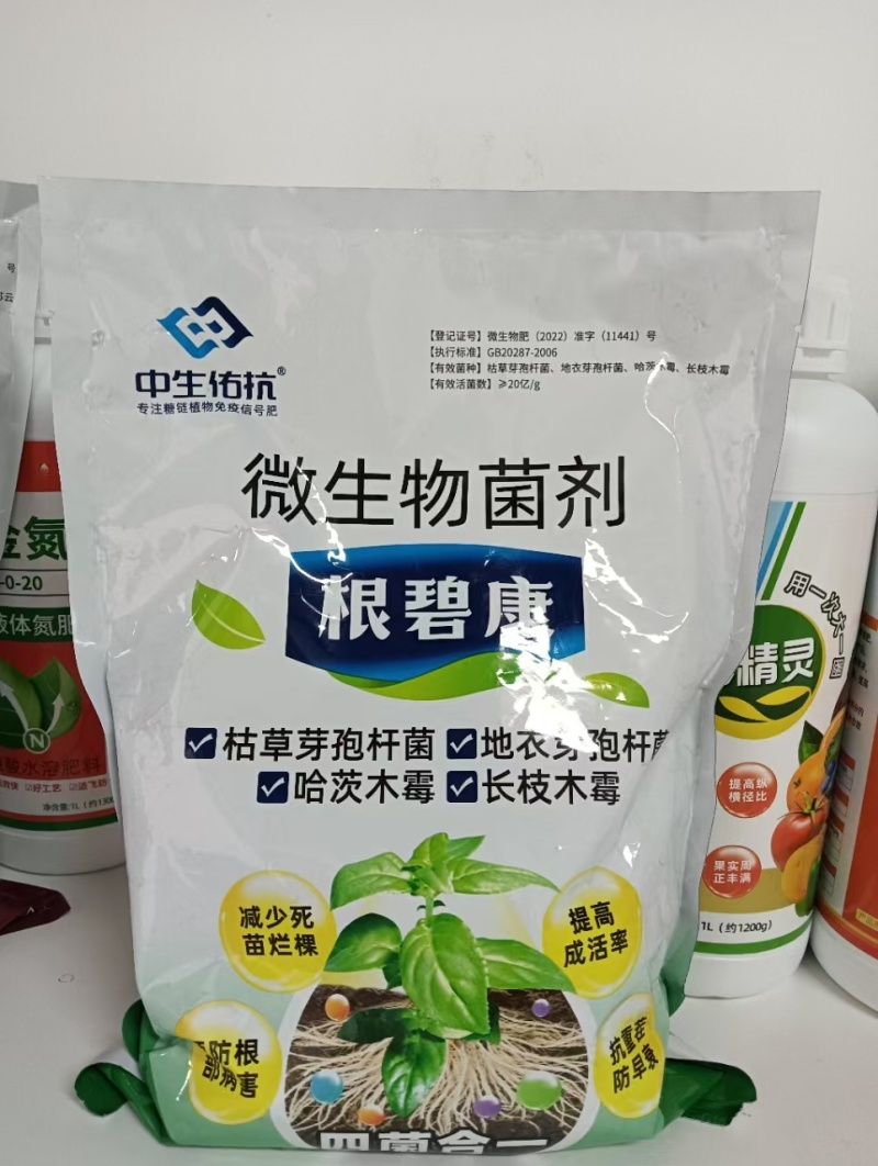 根碧康四菌合一减少死苗烂颗预防根部病害抗重茬/防早