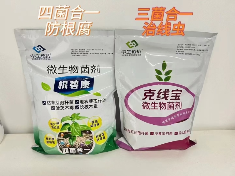 根碧康四菌合一减少死苗烂颗预防根部病害抗重茬/防早
