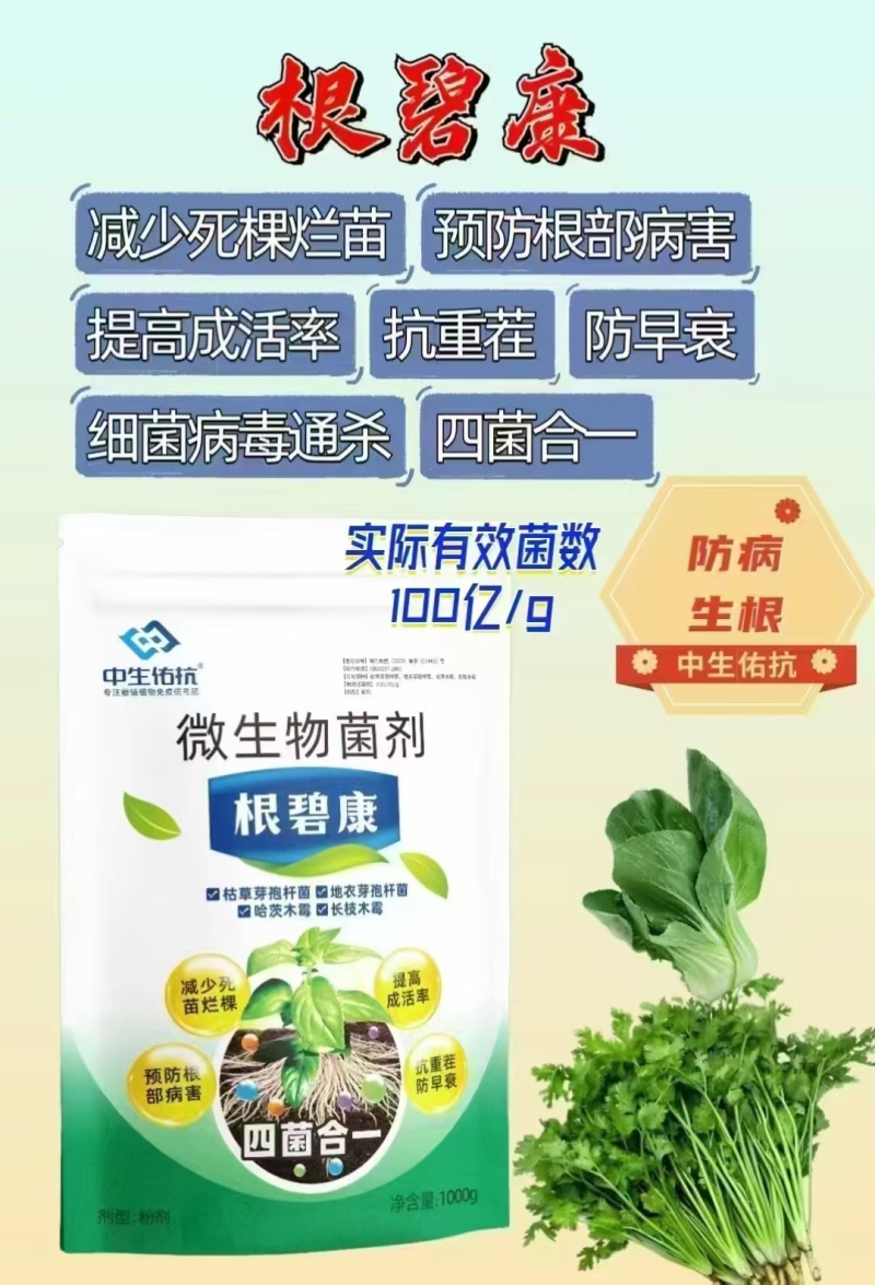 根碧康四菌合一减少死苗烂颗预防根部病害抗重茬/防早