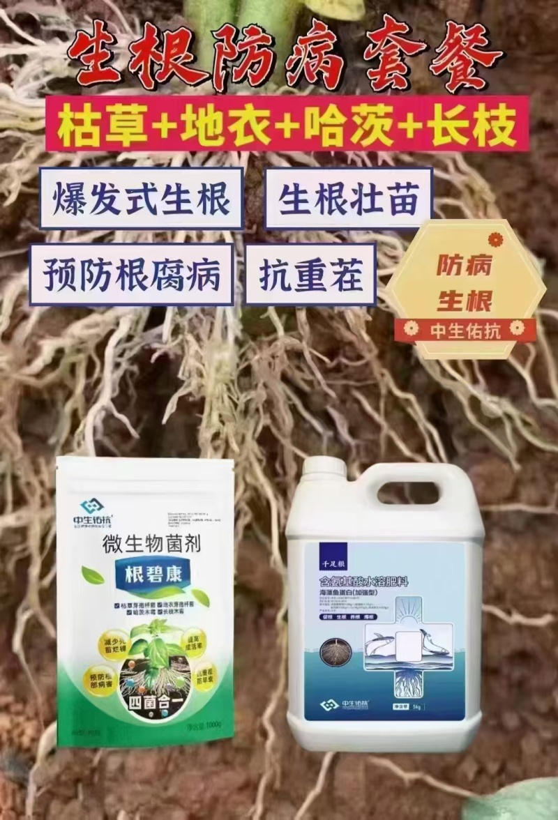 根碧康四菌合一减少死苗烂颗预防根部病害抗重茬/防早