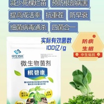 根碧康四菌合一减少死苗烂颗预防根部病害抗重茬/防早