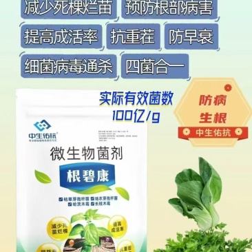 根碧康四菌合一减少死苗烂颗预防根部病害抗重茬/防早