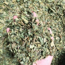 正品肺形草1公斤蝴蝶草花蝴蝶铁板青无硫双蝴蝶肺型草