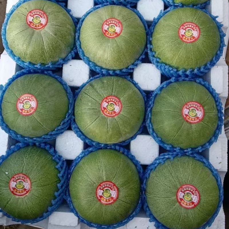 绿宝甜瓜，暖棚头茬，熟度好，支持各种包装