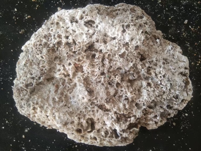 福建龙涎香黑黄白三种，克价，醇，香精，酊可自由选择