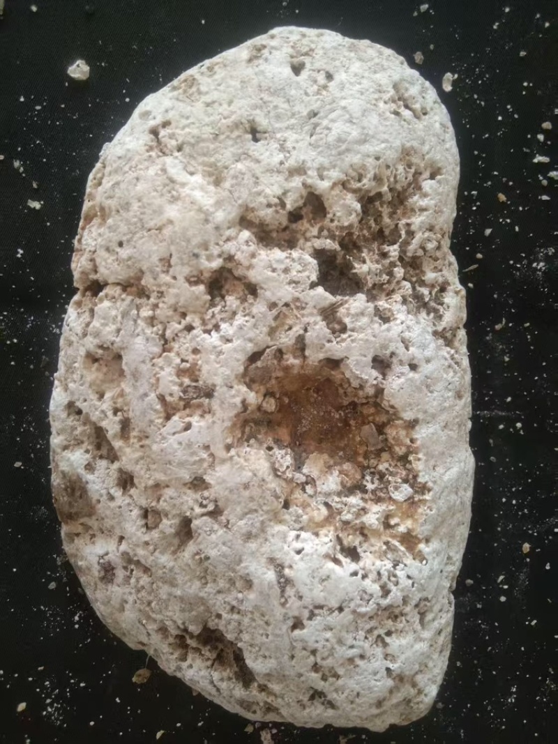 福建龙涎香黑黄白三种，克价，醇，香精，酊可自由选择