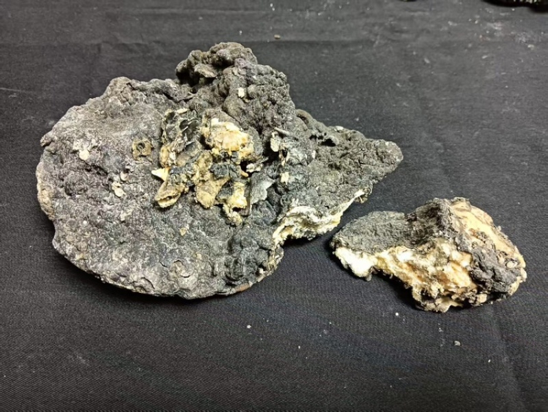 福建龙涎香黑黄白三种，克价，醇，香精，酊可自由选择
