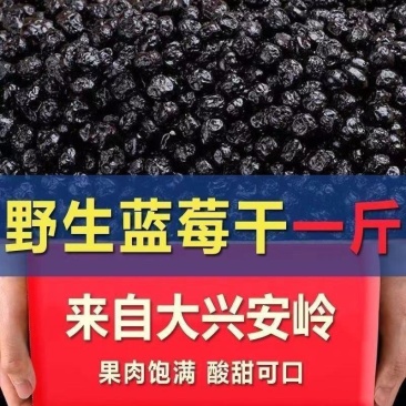 蓝莓干，整箱独立包装都有，大量现货供应