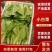 山东聊城小白菜大量供应一手货源品质保证欢迎来电咨询