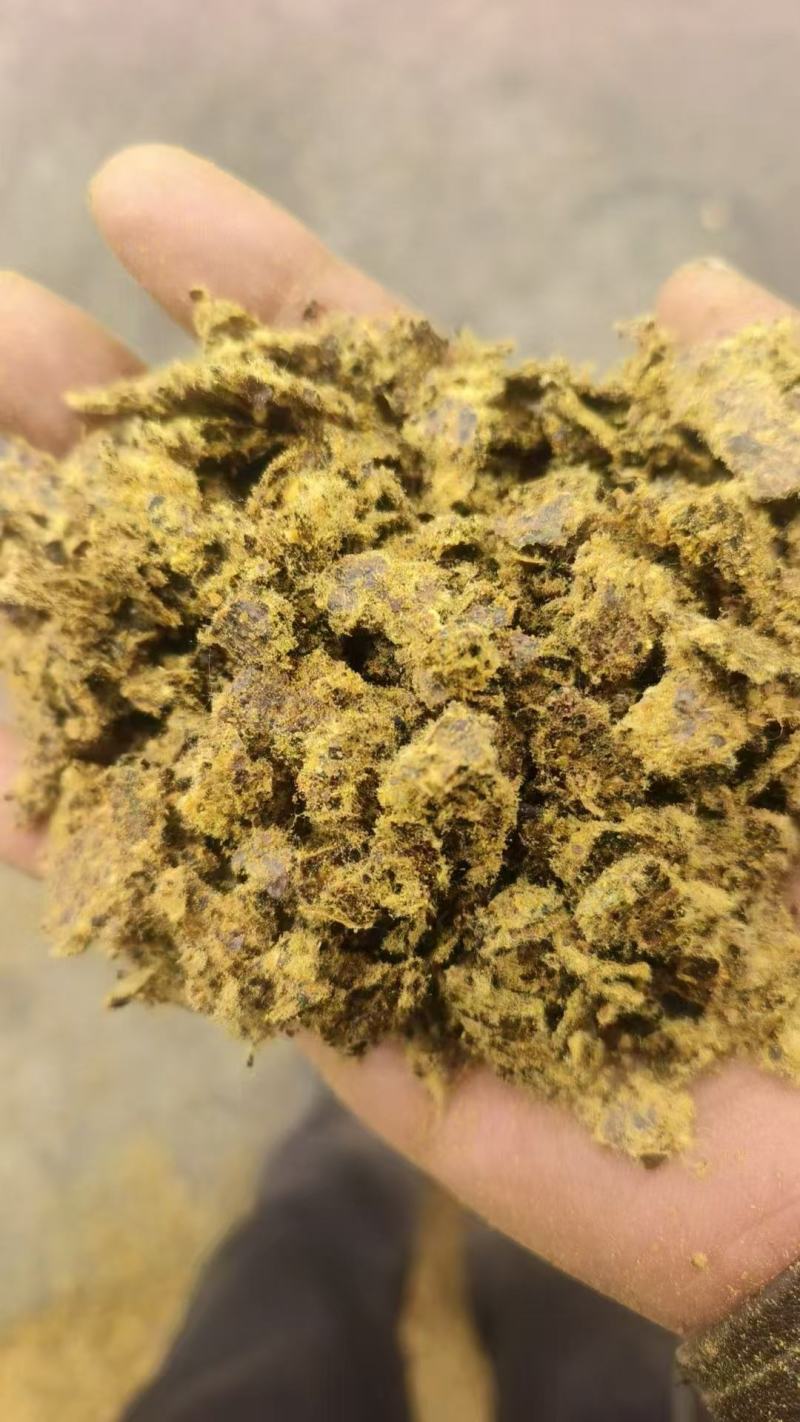 山东菏泽棉子饼，棉籽饼，天然肥料富含多种元素供应