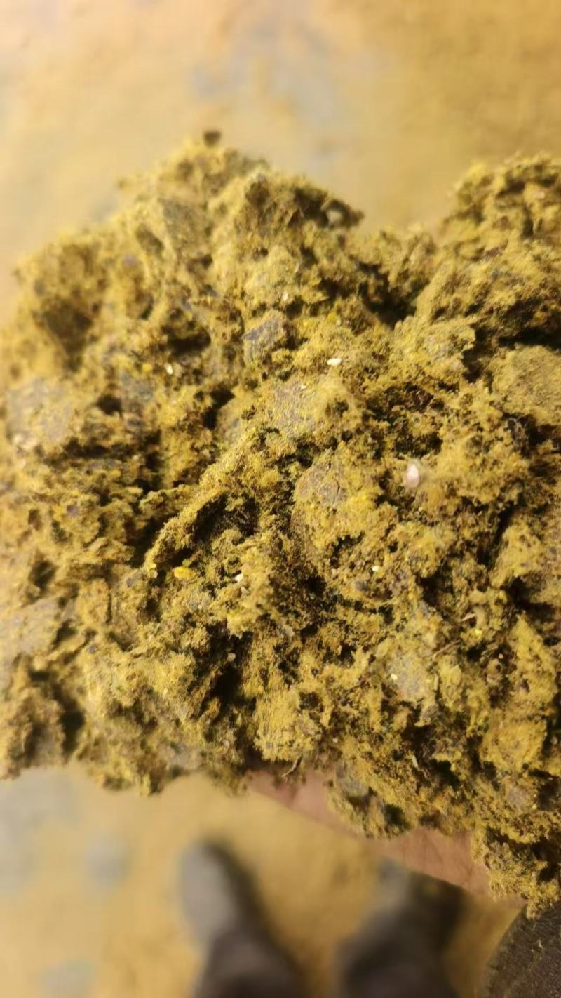 山东菏泽棉子饼，棉籽饼，天然肥料富含多种元素供应