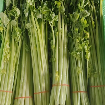 新鲜小香芹大量上市，质量非常好，量大，诚信经营