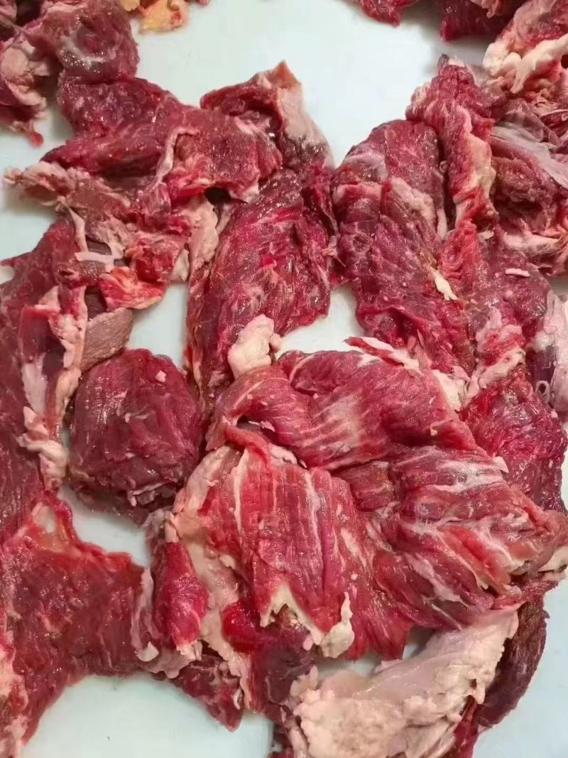 山东厂家直供牛碎肉，新鲜发货，肉质鲜美，欢迎咨询