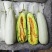博洋61甜瓜:暖棚头茬、自然成熟、又脆又甜