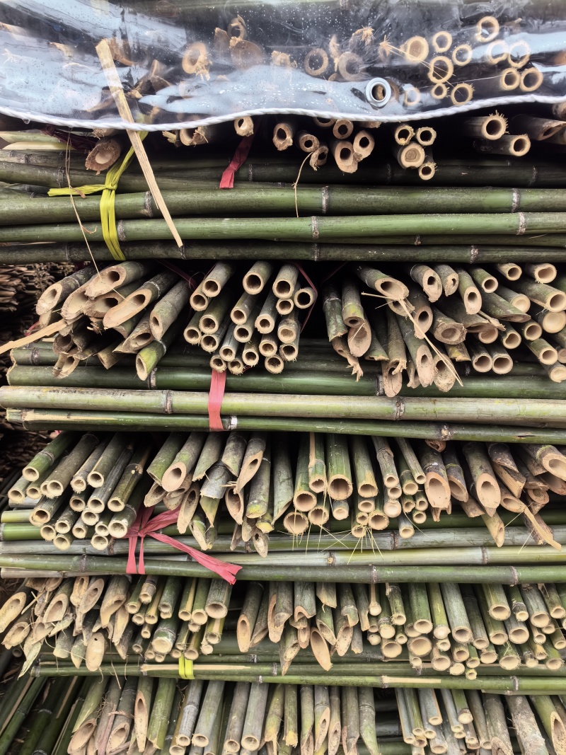 菜架竹/豆角架，圣女果，辣椒，茄子，爬苗架杆